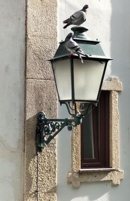 Loft In The Historic Center Of Oporto Downtown Apartment Exterior foto